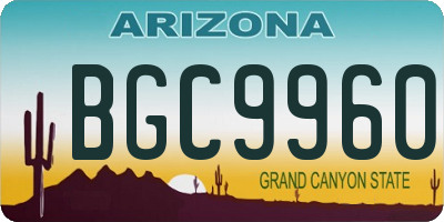 AZ license plate BGC9960