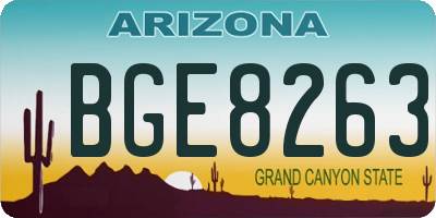 AZ license plate BGE8263