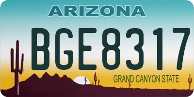 AZ license plate BGE8317