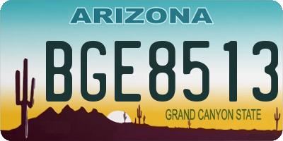 AZ license plate BGE8513