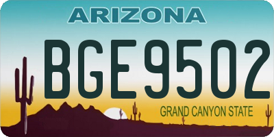 AZ license plate BGE9502