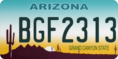 AZ license plate BGF2313