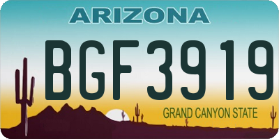 AZ license plate BGF3919