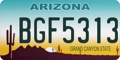 AZ license plate BGF5313