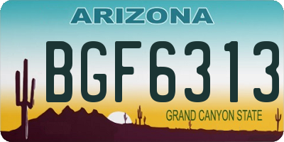AZ license plate BGF6313