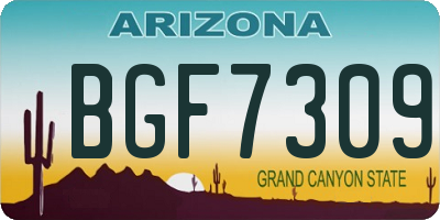 AZ license plate BGF7309