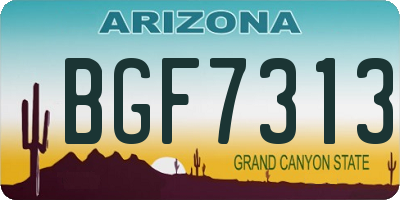 AZ license plate BGF7313