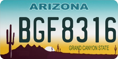 AZ license plate BGF8316
