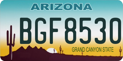 AZ license plate BGF8530
