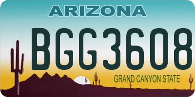 AZ license plate BGG3608