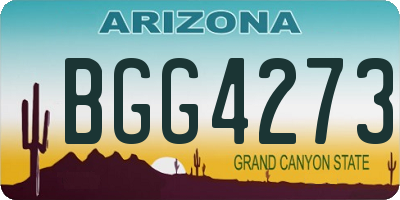 AZ license plate BGG4273