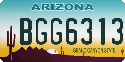 AZ license plate BGG6313