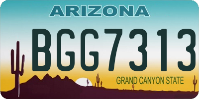 AZ license plate BGG7313
