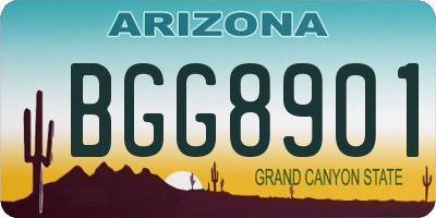 AZ license plate BGG8901