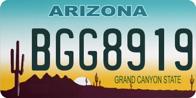 AZ license plate BGG8919