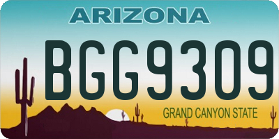 AZ license plate BGG9309