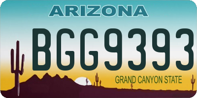 AZ license plate BGG9393