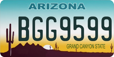 AZ license plate BGG9599