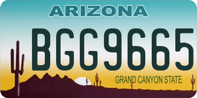 AZ license plate BGG9665
