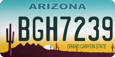 AZ license plate BGH7239