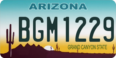 AZ license plate BGM1229