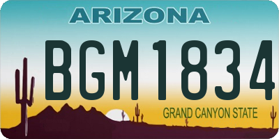 AZ license plate BGM1834