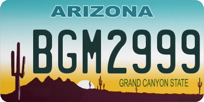 AZ license plate BGM2999