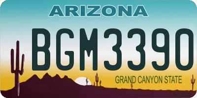 AZ license plate BGM3390