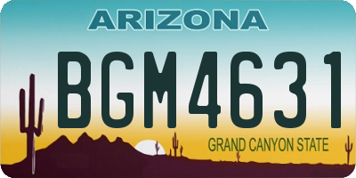 AZ license plate BGM4631