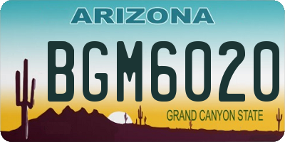 AZ license plate BGM6020