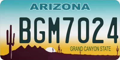 AZ license plate BGM7024