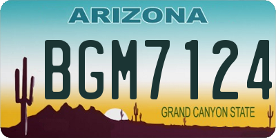 AZ license plate BGM7124