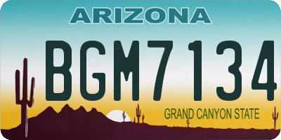AZ license plate BGM7134