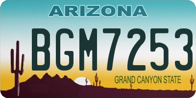 AZ license plate BGM7253