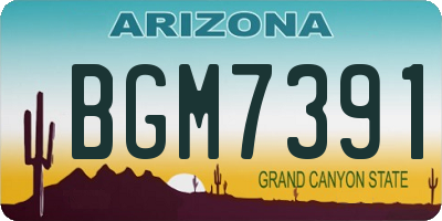 AZ license plate BGM7391