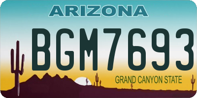 AZ license plate BGM7693
