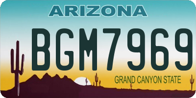 AZ license plate BGM7969