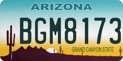 AZ license plate BGM8173