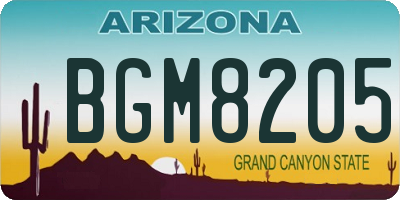 AZ license plate BGM8205