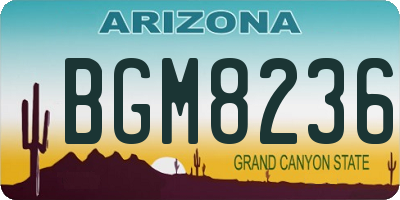 AZ license plate BGM8236