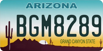 AZ license plate BGM8289