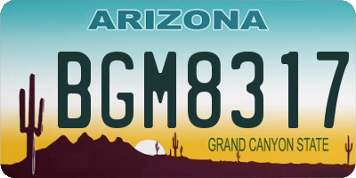 AZ license plate BGM8317