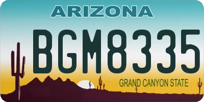 AZ license plate BGM8335
