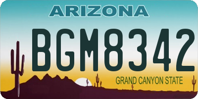 AZ license plate BGM8342
