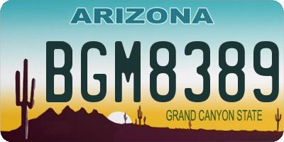 AZ license plate BGM8389