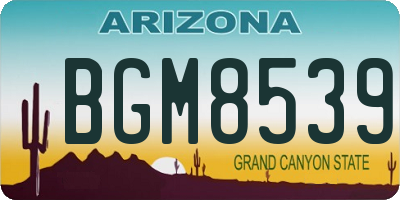 AZ license plate BGM8539