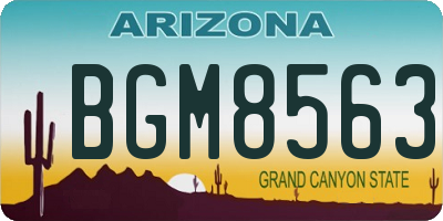 AZ license plate BGM8563