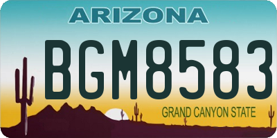 AZ license plate BGM8583
