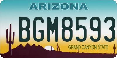 AZ license plate BGM8593