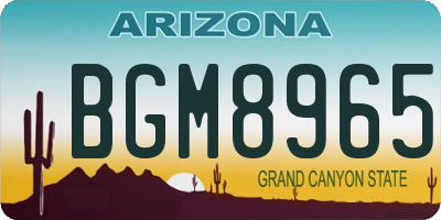 AZ license plate BGM8965
